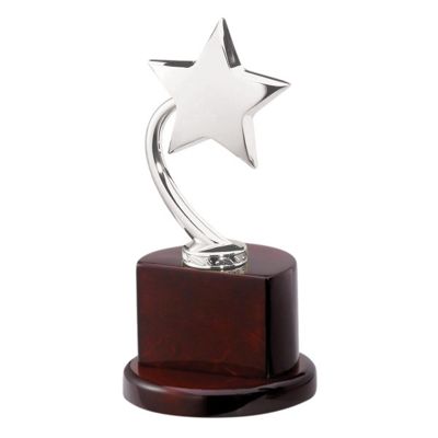 Silver Star on Piano Finish Wood Base